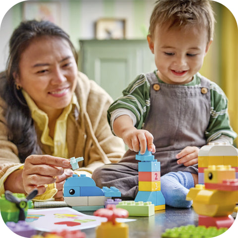 LEGO Colorful Creative Box 10479 – product image 9