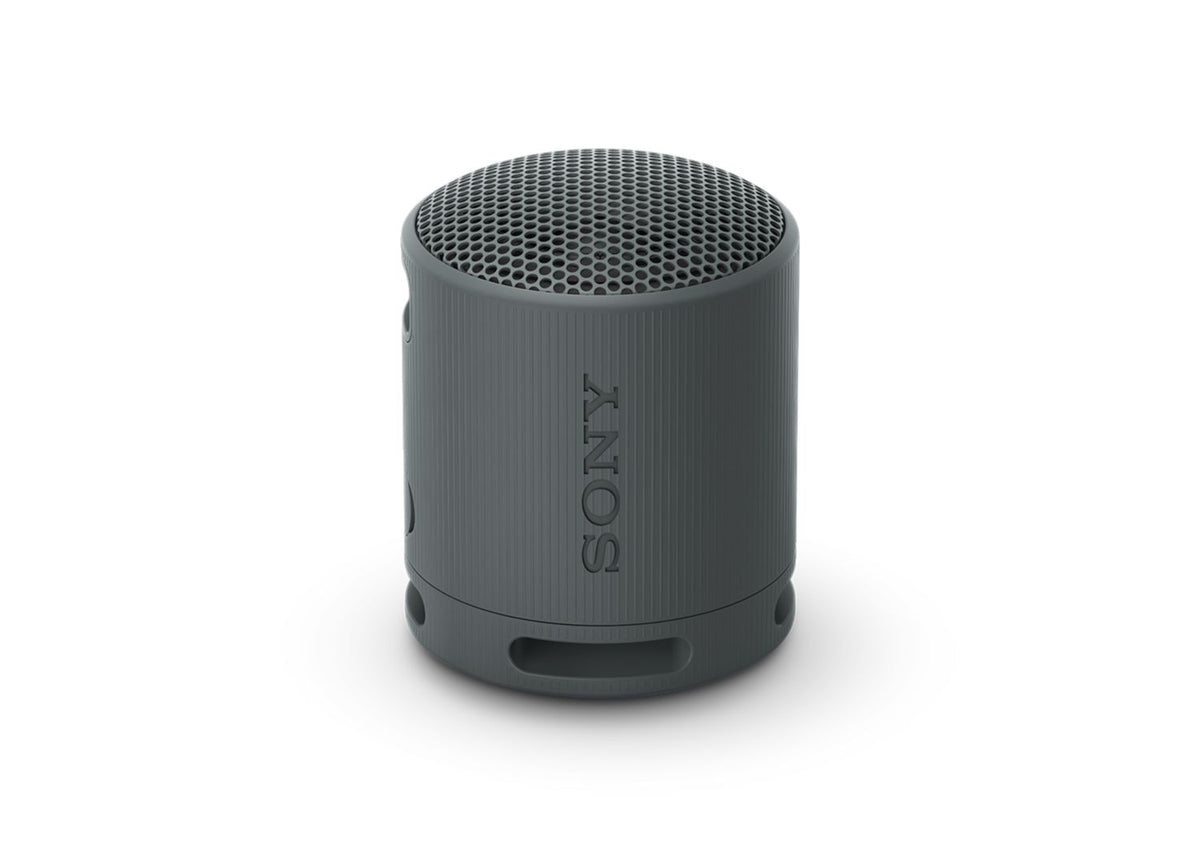 Sony SRS-XB100 Portable Wireless Bluetooth Speaker in Black – view 2