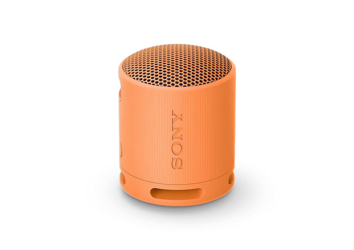 Sony SRS-XB100 Portable Wireless Bluetooth Speaker