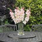 Ballygowan 8 Seater Set with Round Table & Lazy Susan - CLEARANCE - Flemings Department Store