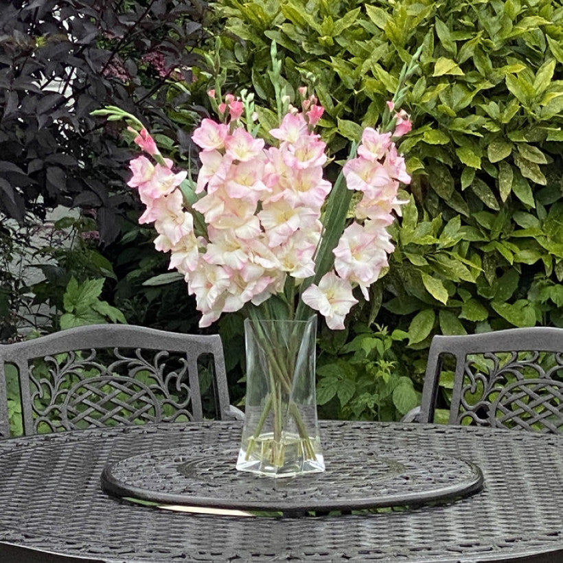 Ballygowan 8 Seater Set with Round Table & Lazy Susan - CLEARANCE