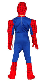 Fiestas Guirca Superhero Costume - Spider Boy - Flemings Department Store