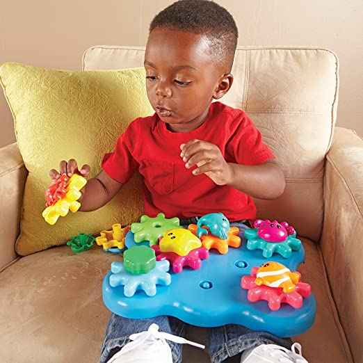 Build and Spin Ocean Wonders